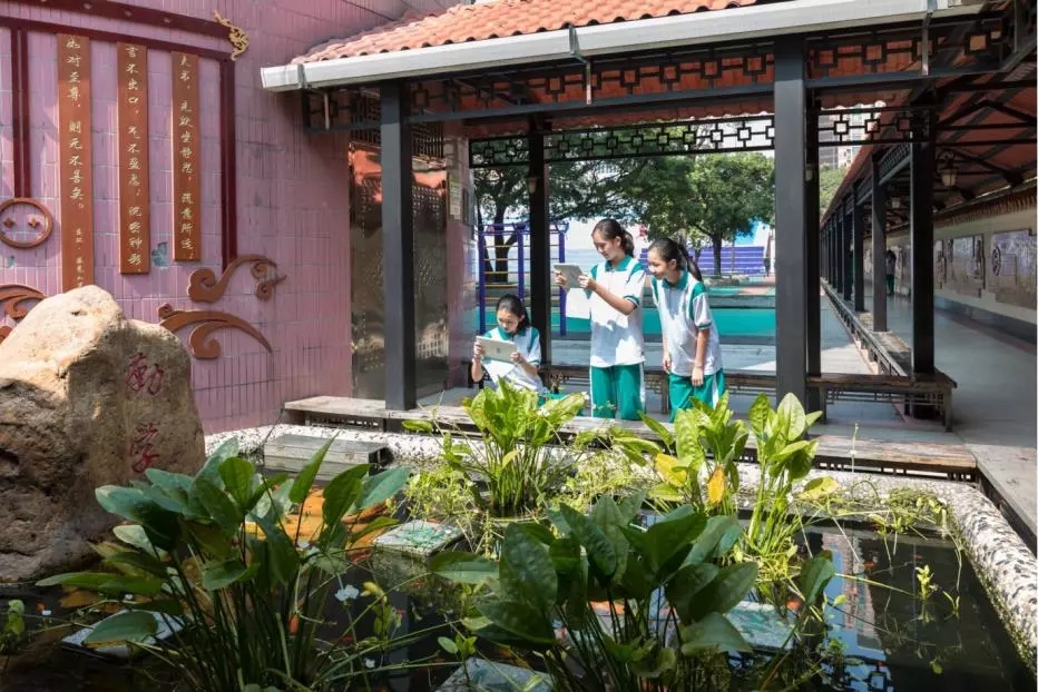 抖圈(中国)为du而生