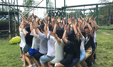 抖圈(中国)为du而生